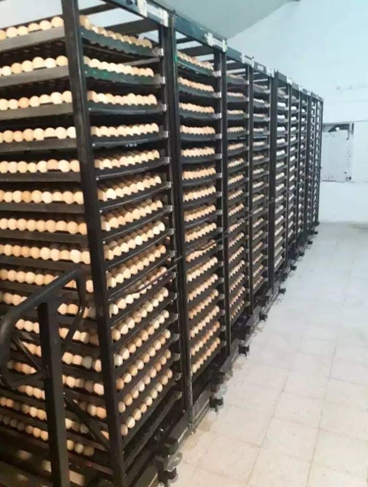 This image for Image Layouts addon